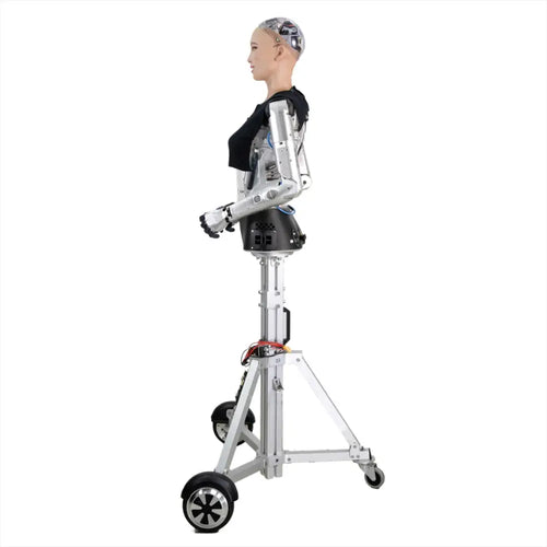 version R&D de Hanson Robotics Sophia 2020 Hanson Robotics Sophia 2020, R&D Version