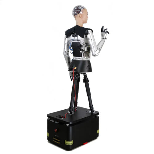 version R&D de Hanson Robotics Sophia 2020 Hanson Robotics Sophia 2020, R&D Version