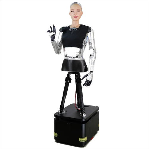 version R&D de Hanson Robotics Sophia 2020 Hanson Robotics Sophia 2020, R&D Version