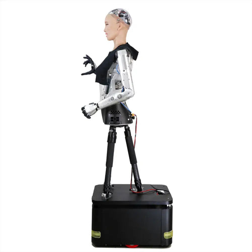 version R&D de Hanson Robotics Sophia 2020 Hanson Robotics Sophia 2020, R&D Version