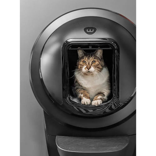 Escudo Litter-Robot 4 (Negro) Litter-Robot 4 Shield (Black)