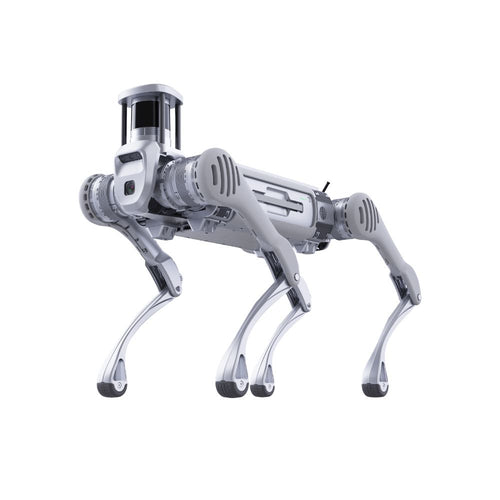 Unitree B2 Robot Dog