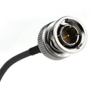 Atlas Scientific BNC Male to BNC Female Extension Cable - Black 30m