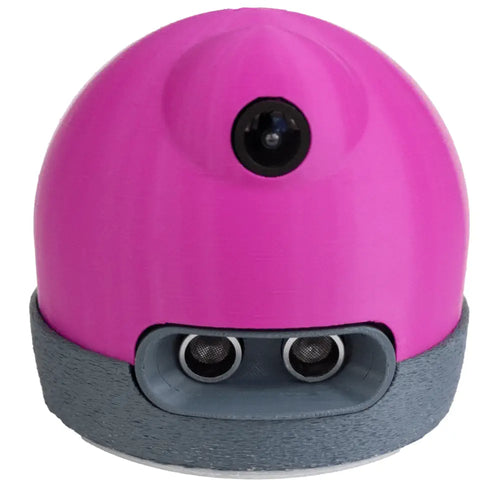 Alphai Learning Robot for Teaching AI (Purple)