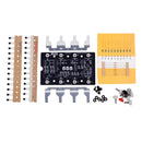 Evil Mad Scientist The Three Fives 555 DIY-Timer Kit