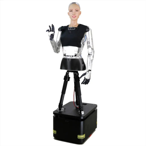 Hanson Robotics Sophia 2020, R&D Version