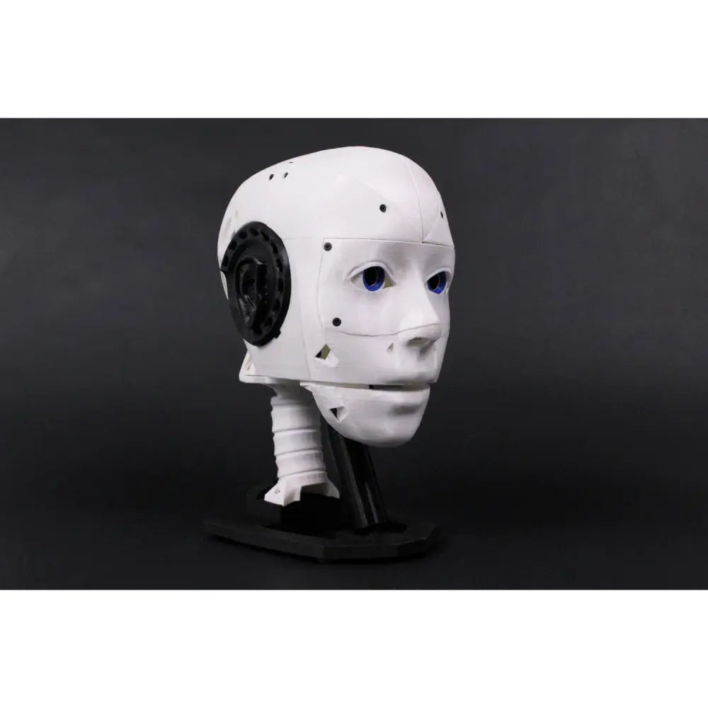 Humanoid and Biped Robots - RobotShop