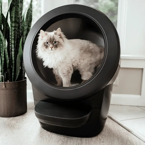 CleanTail™ App-Controlled Self-Cleaning Litter Box
