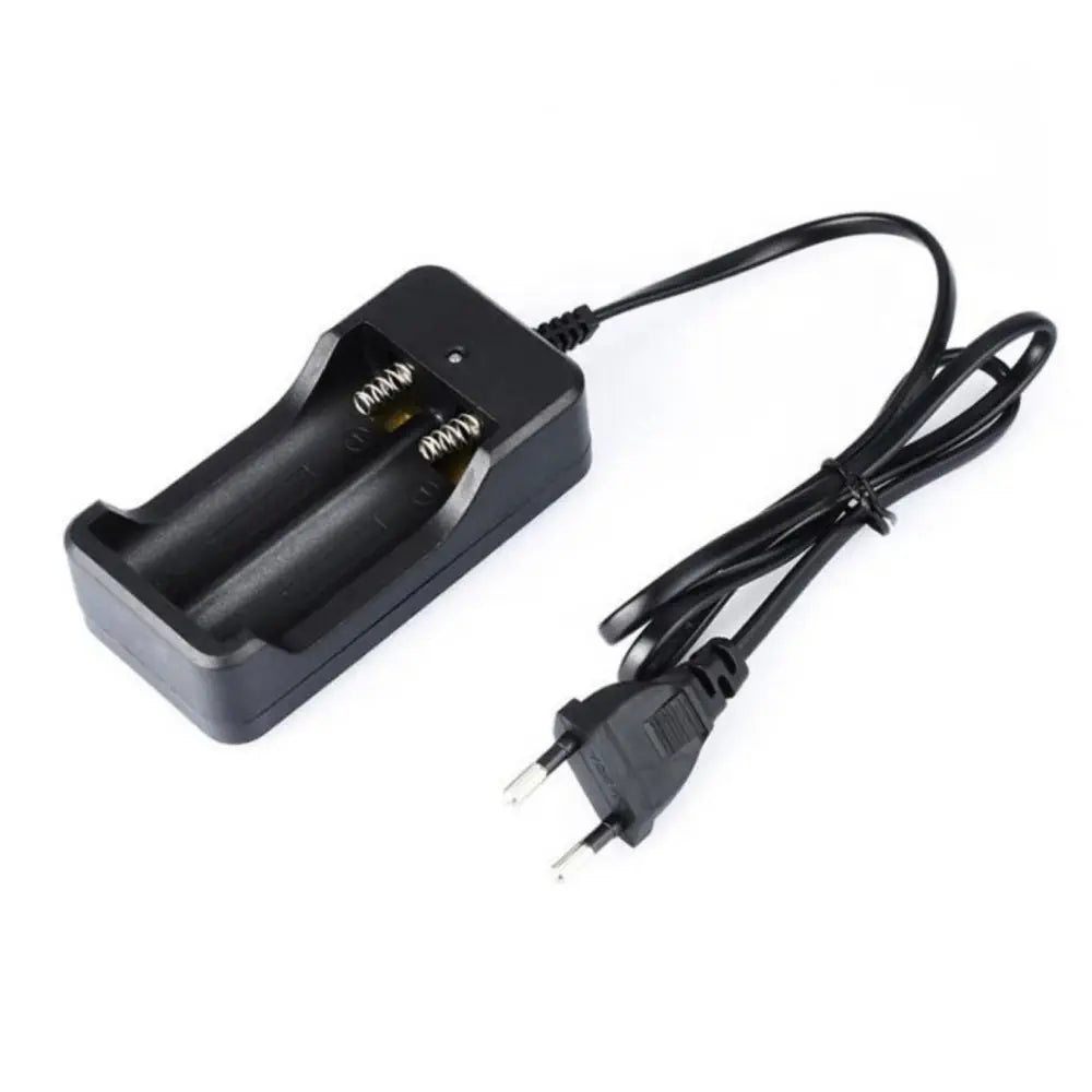 elfbar elfa master akku Ansmann Lithium 2 Akku Ladegerät für 2 Li-Ion (3,6V/3,7V) oder Ni-MH main image 1
