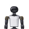 Booster Robotics K1 Professional Humanoid Robot