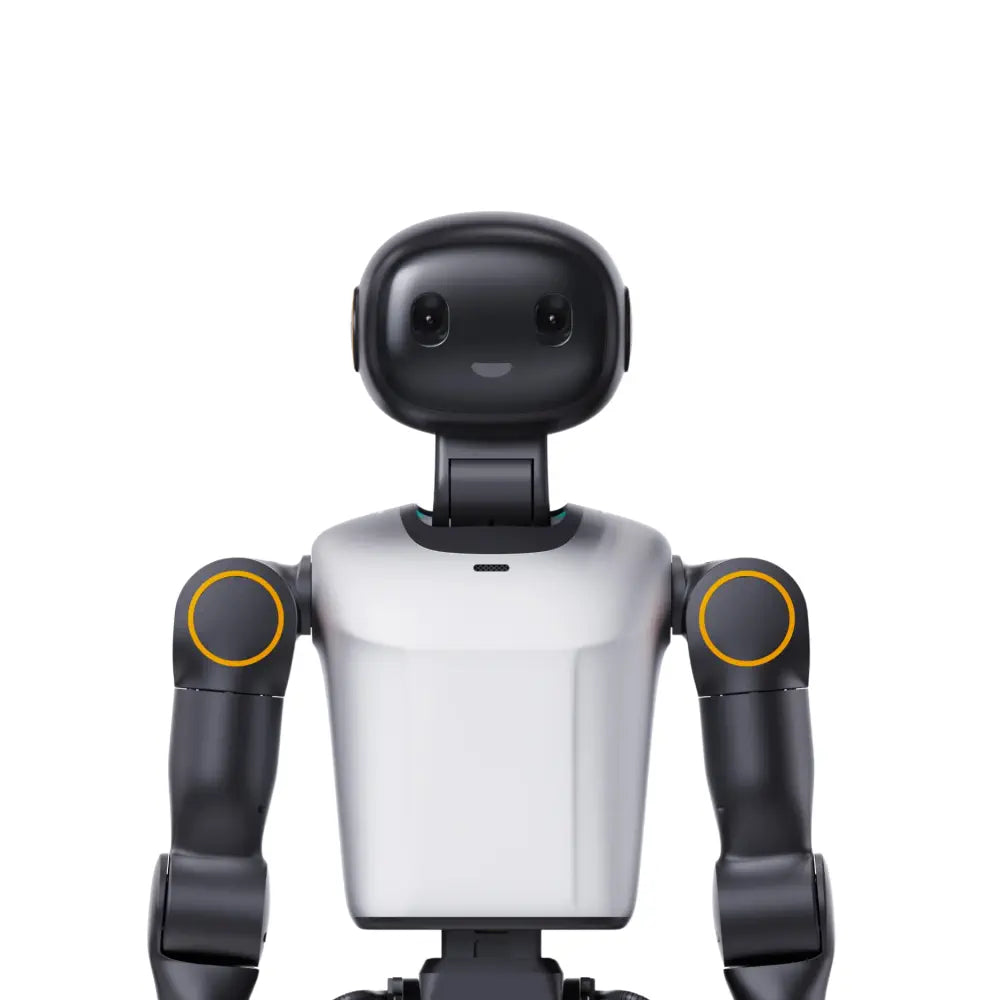 Booster Robotics K1 Professional Humanoid Robot