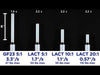 RB-Pol-845 - Video