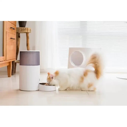 Instachew Purebite Smart Pet Feeder (App-Enabled)