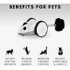 Instachew Purechase Smart Pet Toy (App-Enabled)