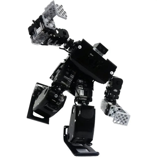 RQ-HUNO Robotic Humanoid Kit