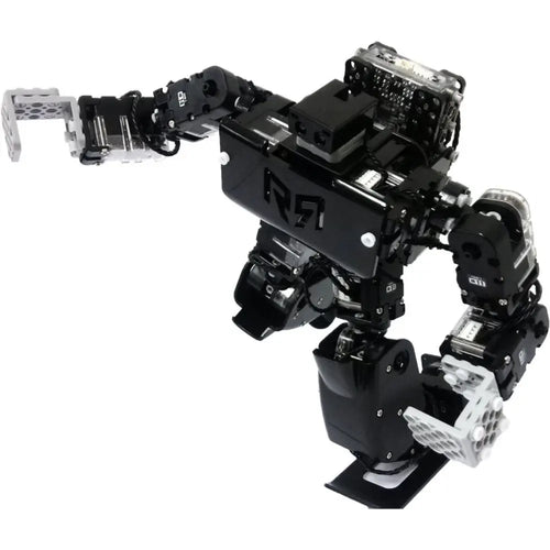 RQ-HUNO Robotic Humanoid Kit