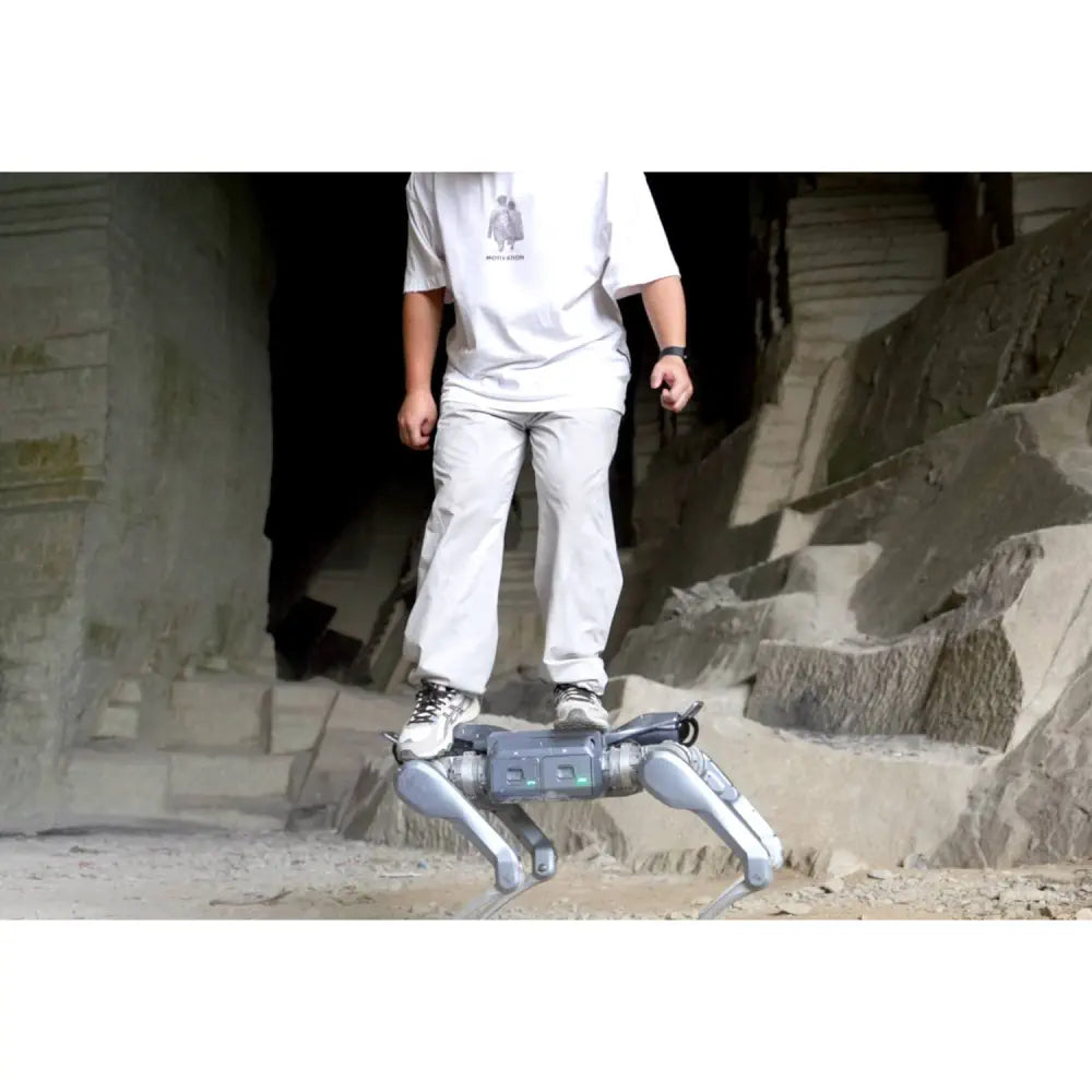 Unitree A2 Robotic Dog (EU)