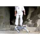 Unitree A2 Robotic Dog (EU)