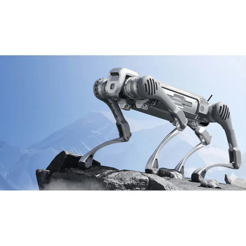 Unitree B2 Robotic Dog (EU)