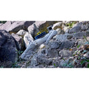 Unitree B2 Robotic Dog w/ Nav Kit (EU)