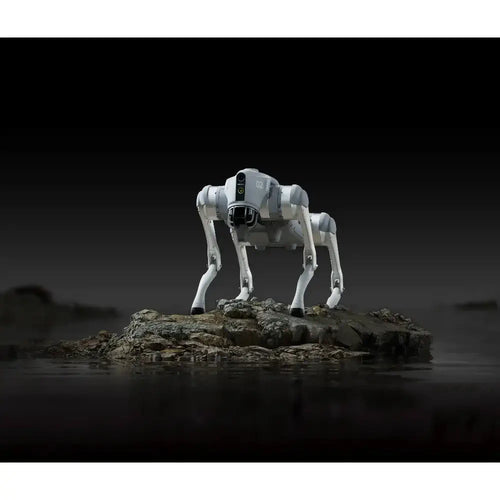 Unitree Go2 X Robotic Dog (EU)