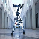 Unitree R1 EDU Pro D (U6) Humanoid Robot (EU)