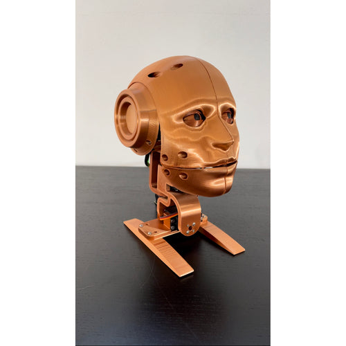 Youbionic Robot Head