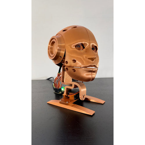 Youbionic Robot Head