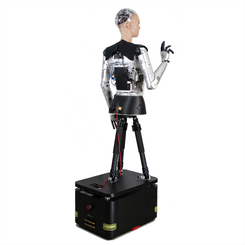 Hanson Robotics Sophia 2020, R&D Version