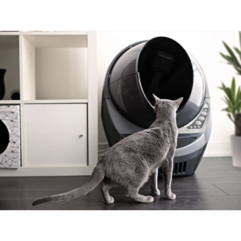 Litter-Robot 3 Connect Automatic Self-Cleaning Litter Box (Grey) EU (Refurbished)